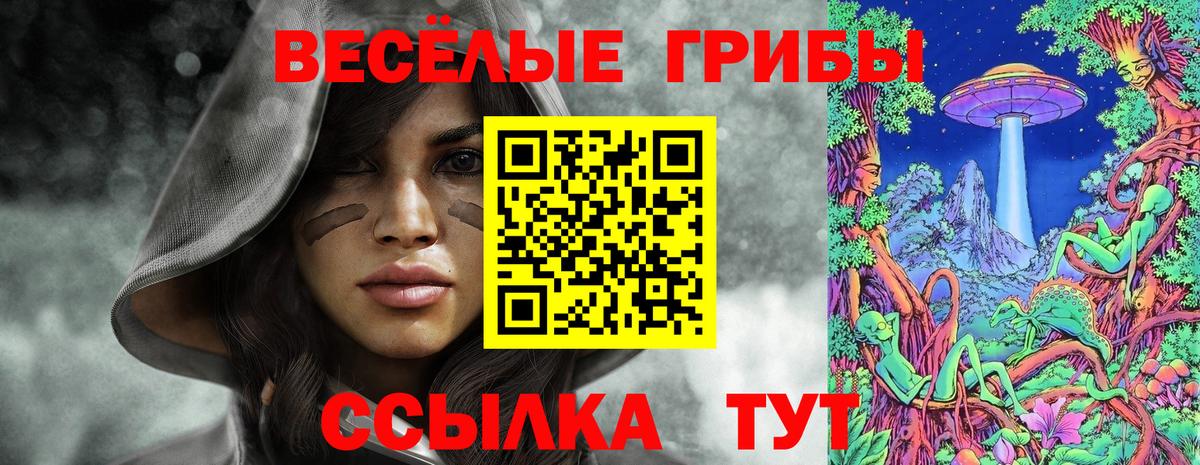 Галлюциногенные грибы Psilocybine cubensis Ульяновск